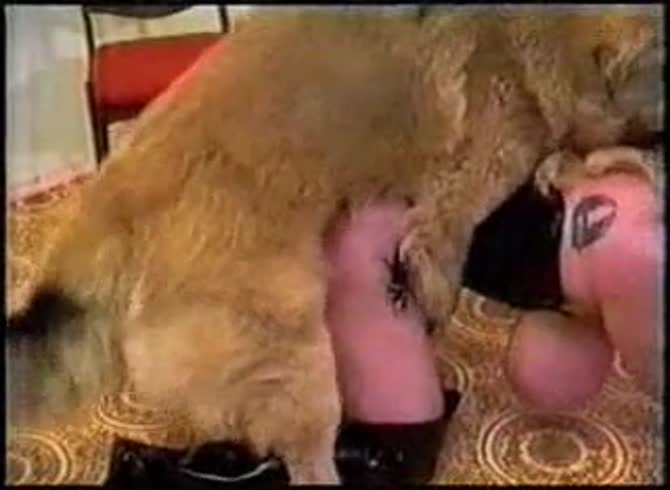 Video :Blonde with big round tits having dog sex